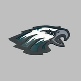 Philadelphia Eagles Hype Chain — Custom 3D-Printed Medallion